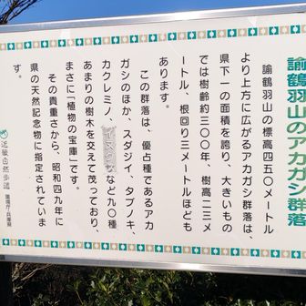 諭鶴羽山山頂⑤