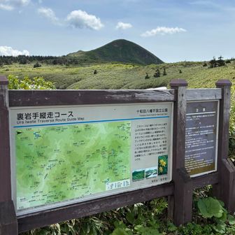 ここから縦走路！！