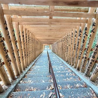 再び階段を下ります