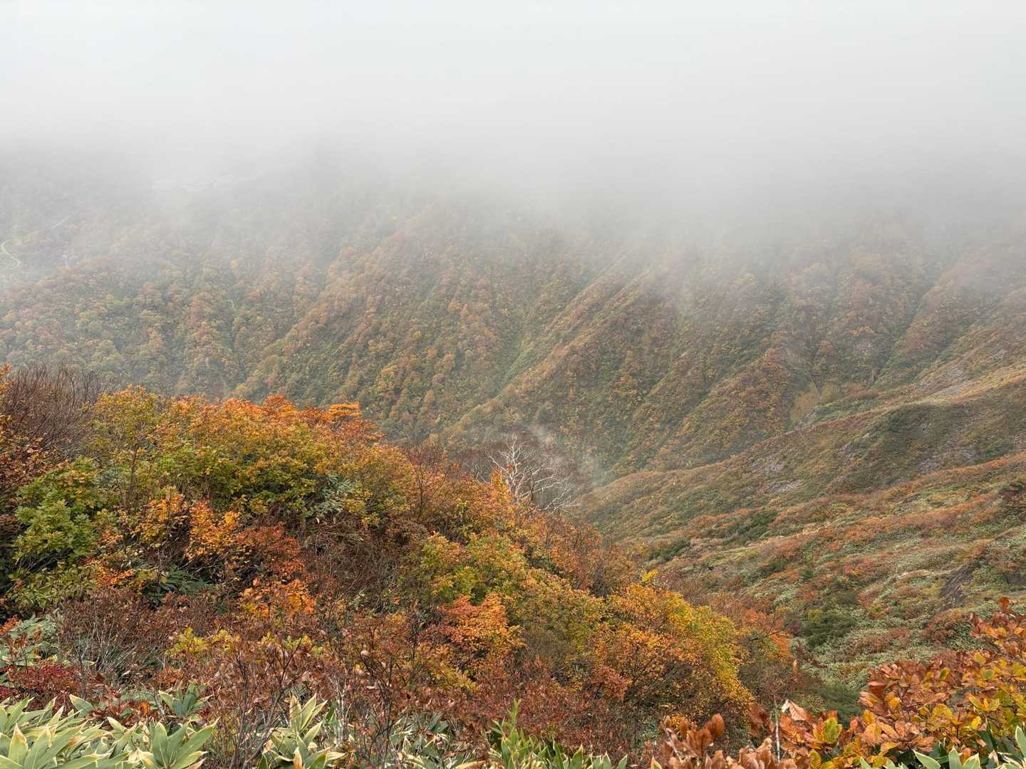 谷筋の紅葉🍁素晴らしい👍
