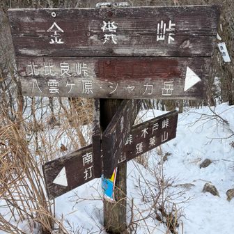 金糞峠
かわいそうな名前