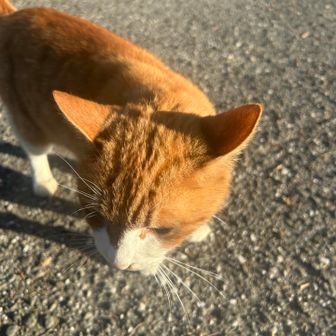 あきろう