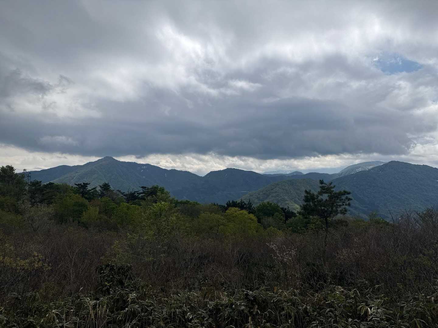 八乙女山-八乙女山五合目登山口 縦走コースの写真