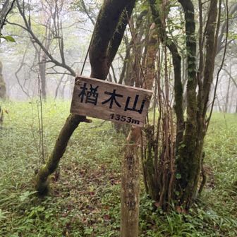 樽木山