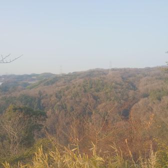 信貴山山頂からの景色