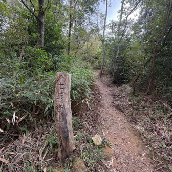 七兵衛山へ立ち寄ります
