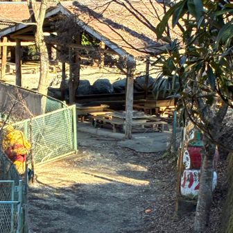 なんとも楽しげな人形が
(他にもたくさんw)