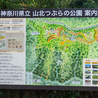 ついでなので公園内も散策してみる