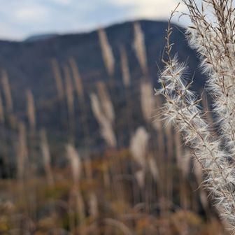 いい時間過ごせたわ〜
銭天ありがとう👺⛰️☺️
下山します🚶‍➡️