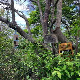 初ピークの子鶏冠山