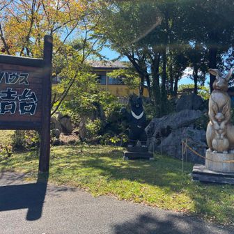 ログハウス　秋吉台。
うどんやソフトクリームなど軽食があります。