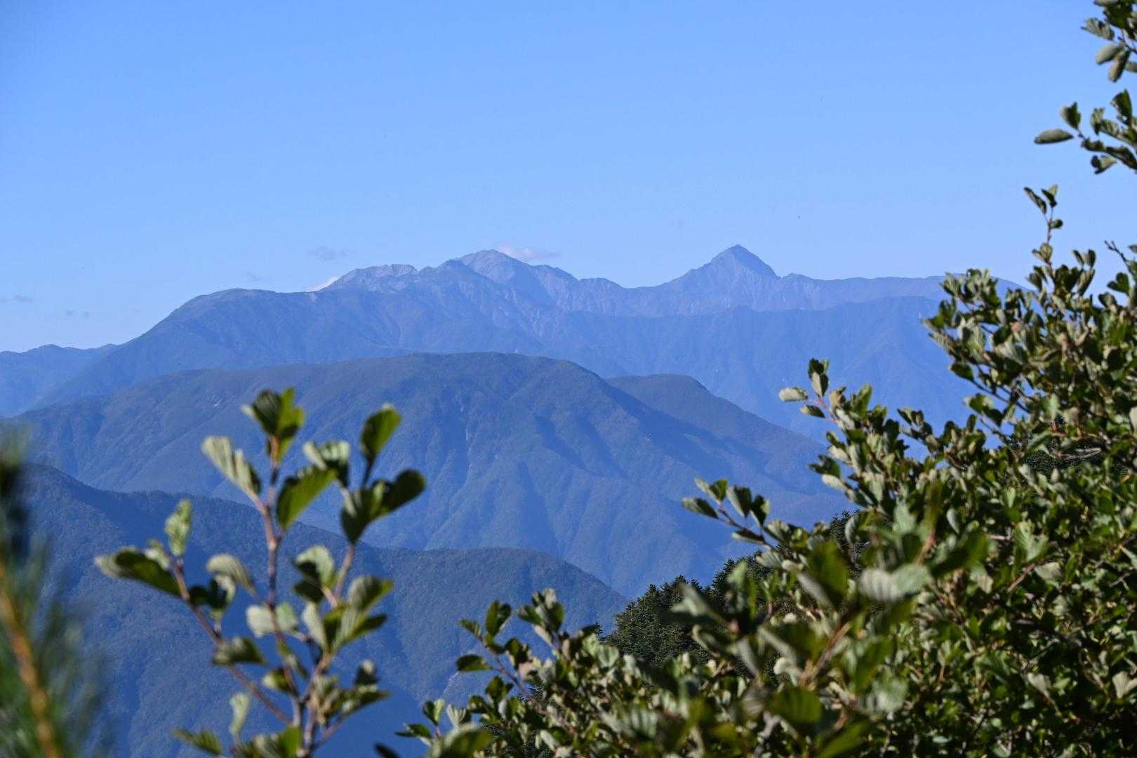 梅ヶ島から八紘嶺・希望峰・七面山 / ttomの登山データ | YAMAP / ヤマップ