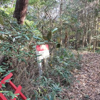 🏍️なら道端にギリギリ停めれました