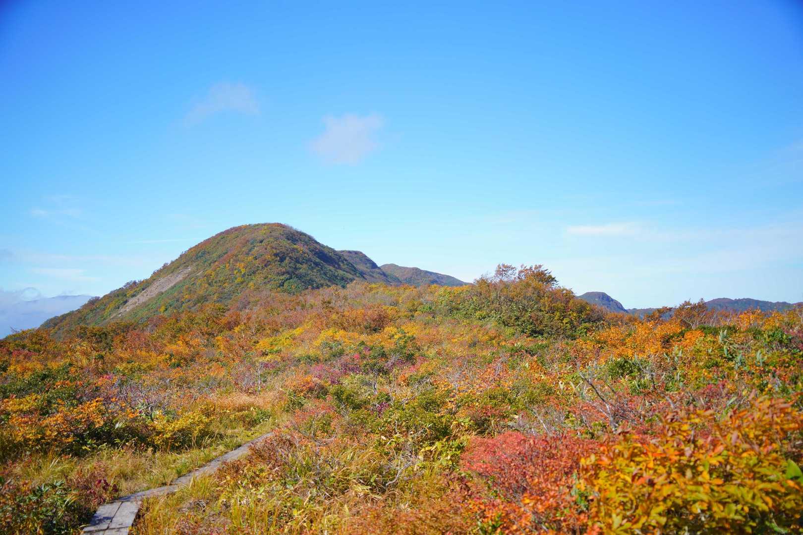 木道の周辺はお花畑になるそうですよ。チングルマも咲くそうです。