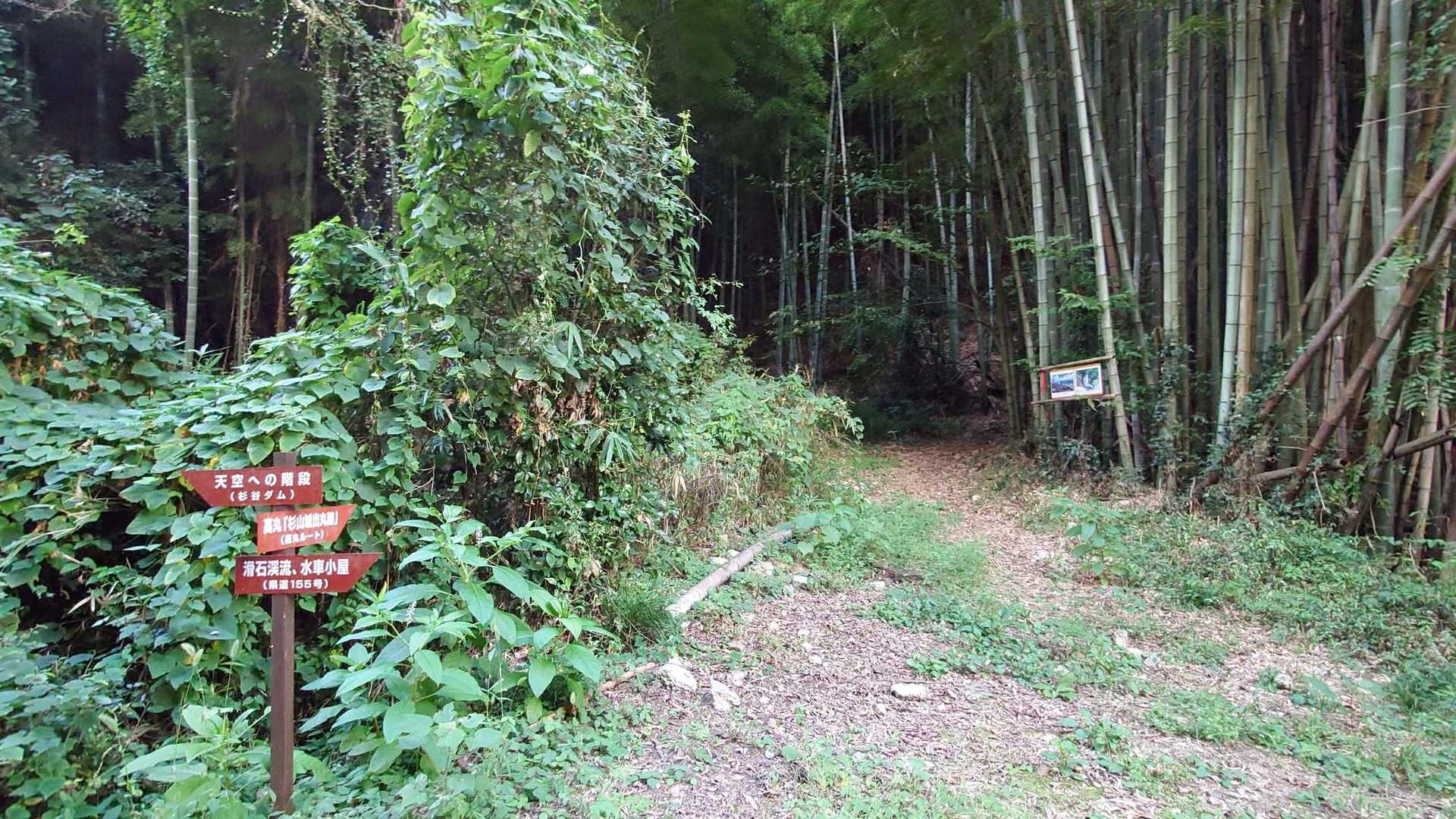 舗装林道へ下りてきました｡
杉山城跡や高丸へ登って､夕方５時半になっています｡
ここから林道をてくてく歩いて駐車地🅿へ向かいます｡