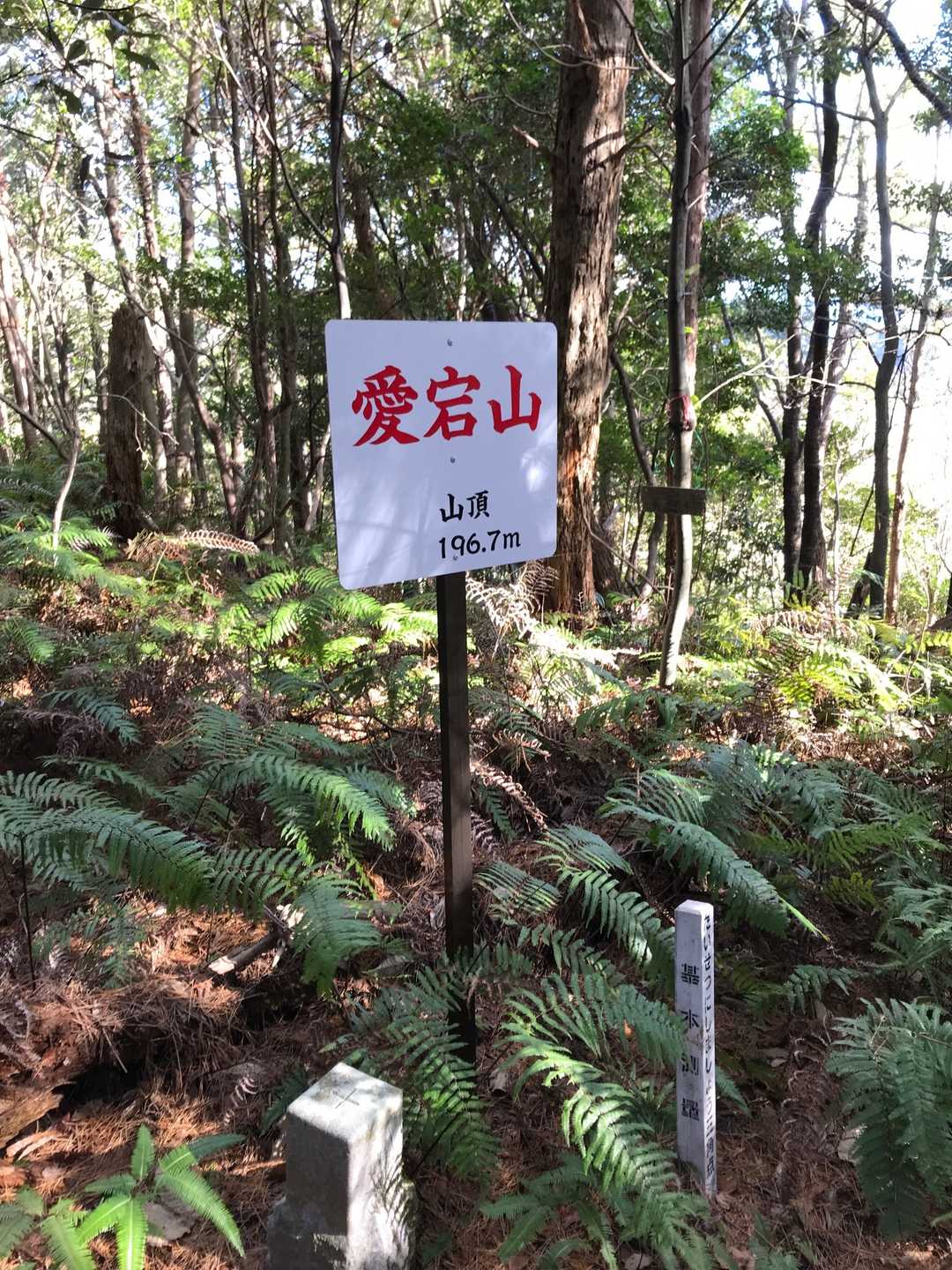 今日の1座目は愛宕山。眺望無しでした。