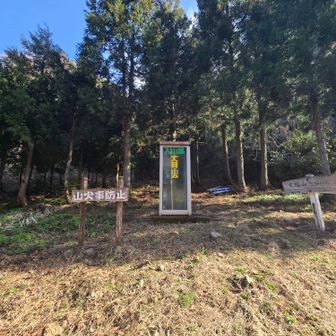 登山口に着きました