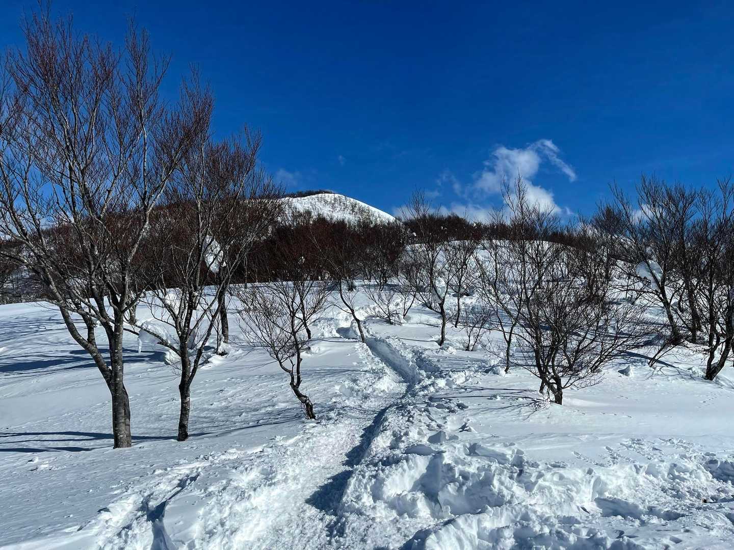 平坦な道