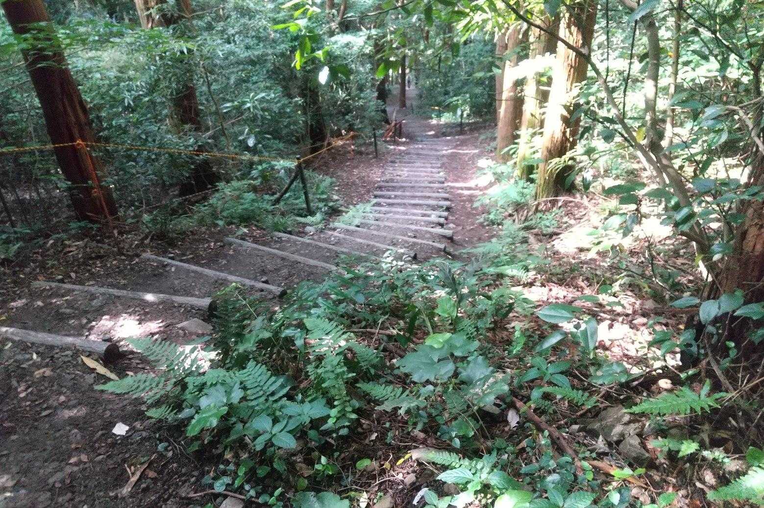 ずーと階段が続く
