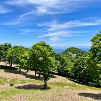 こんなん好き😊
木陰で昼寝したら最高
名残惜しいけど下山します