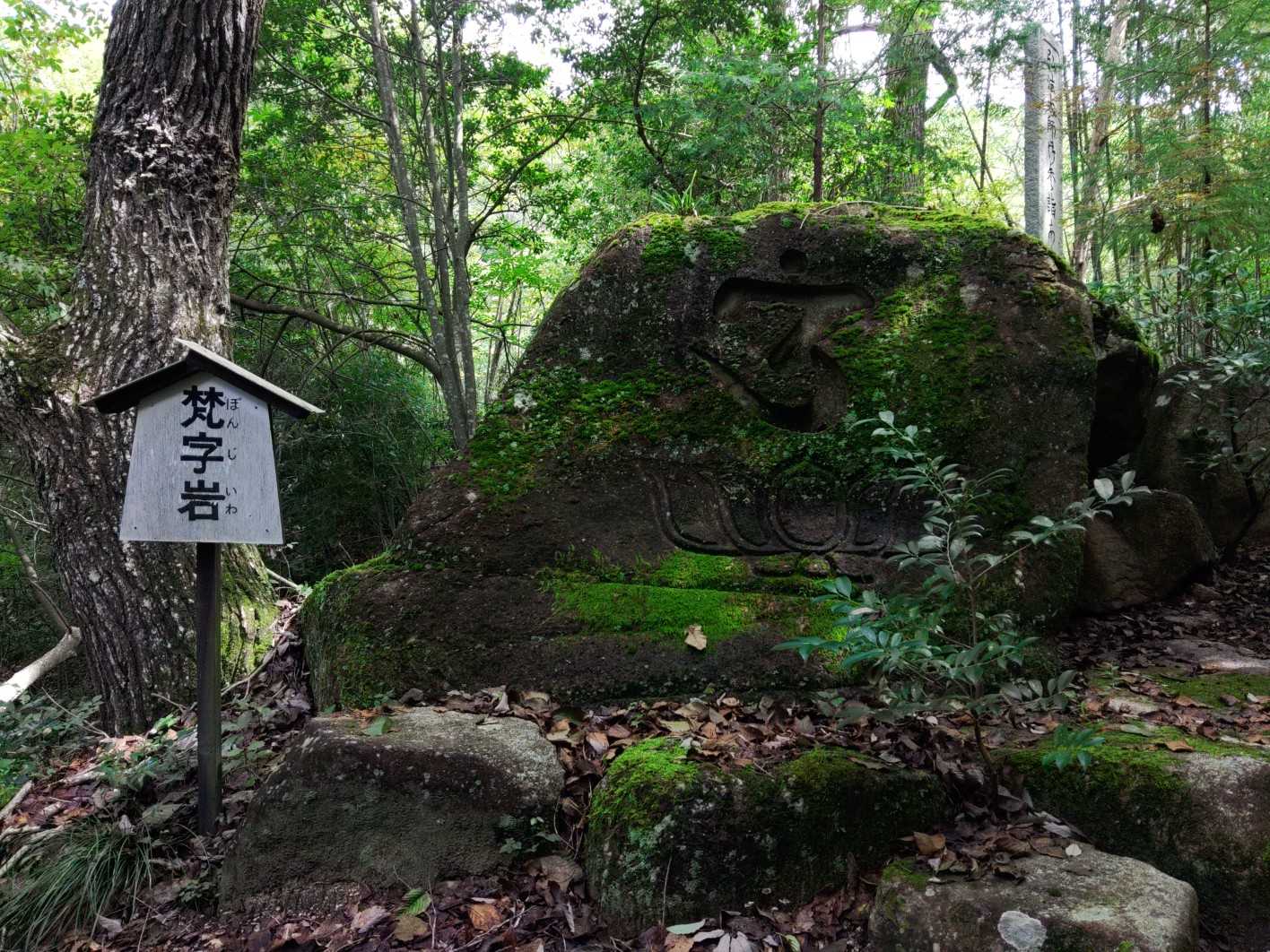 とても古い感じ