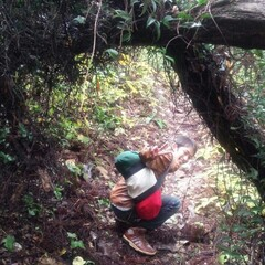 虫嫌い＃アラタ