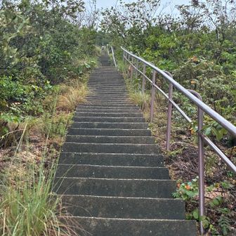 横尾山、栂尾山は階段だらけ💦
