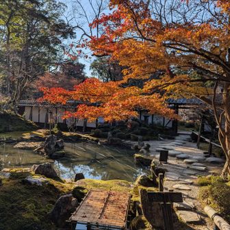 見事です!!　秀麗な景色に一気に心は躍り、一切の邪念は吹き飛び言葉を失います🙏