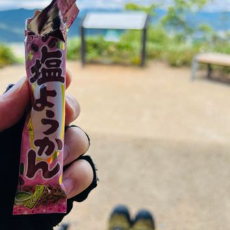 原山にてひと休みひと休み♪

今日は最近、入手したスティック塩羊羹😋