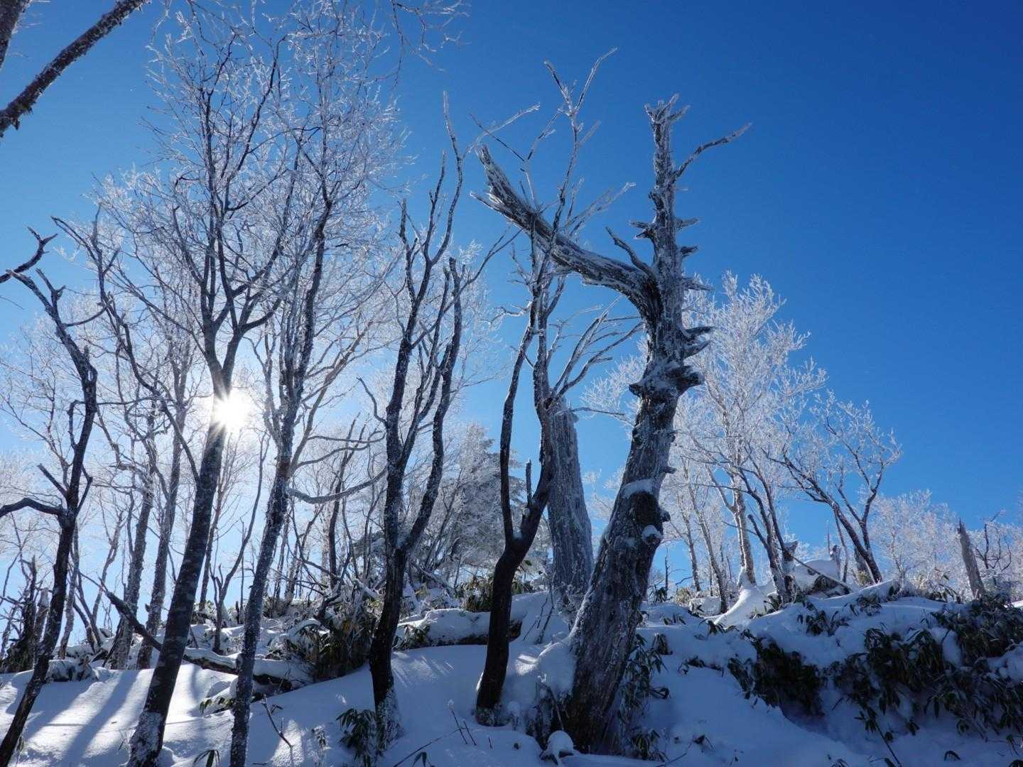 鶏頂山 往復コースの写真