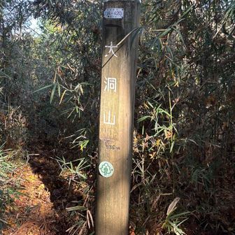 七つ目、大洞山