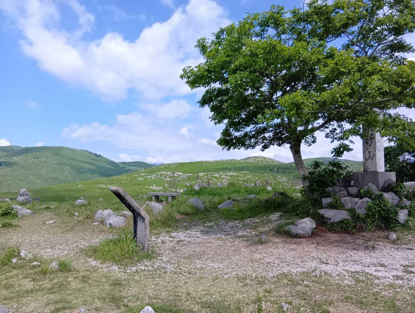 若竹山 周回コースの写真