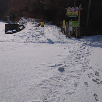 ここからが登山道です