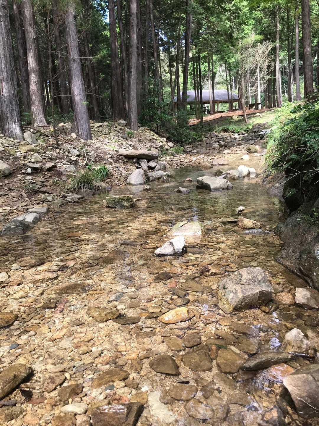 沢もあって良いなあ❗️お水を調達👍