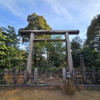 伊勢遥拝所
ここへ来たかったのです
お伊勢さんへは三年ほど行けてないので、こちらで参拝させていただきました🙏