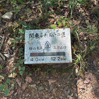 色んな道がありまんな😳