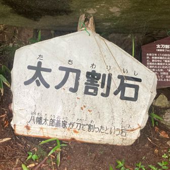 またこの義家か
これ行ったことなくても
YAMAPレポで多分見たことあるよ皆さん