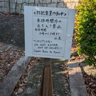 やっぱりダメ😭😭　残念ながらスルーしました。