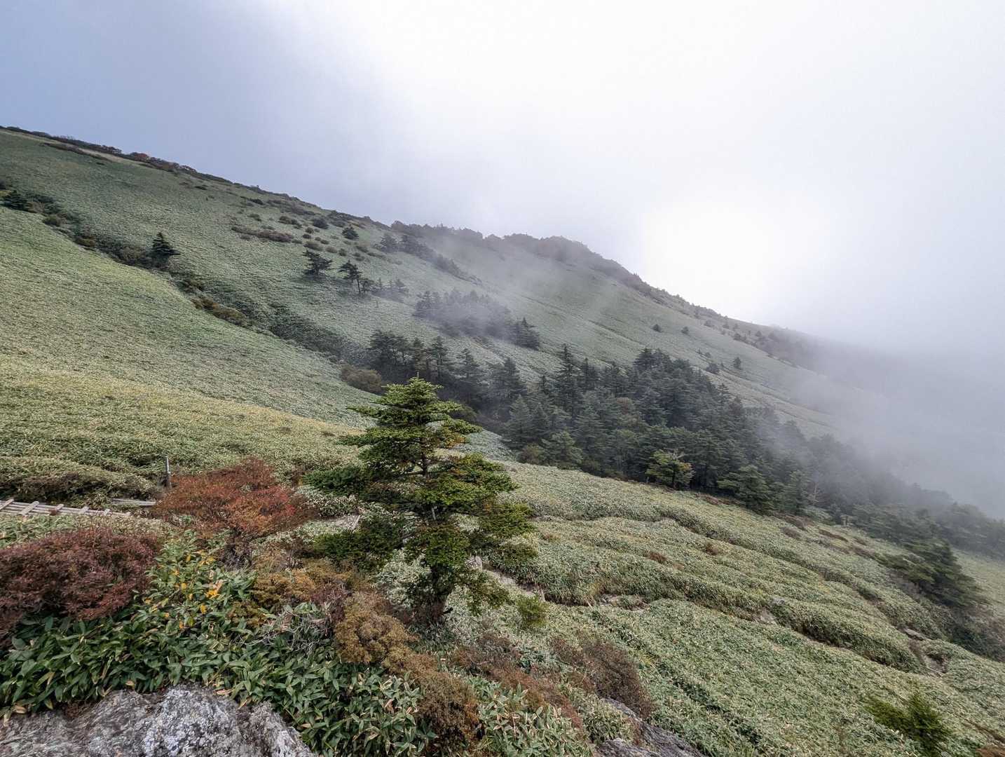 瓶ヶ森登山口発着｜四国最高峰を眺望する瓶ヶ森 周回コースの写真