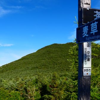 中小場です。