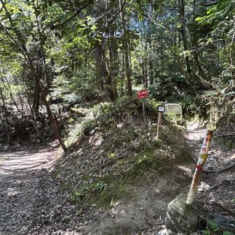 松尾山からのルートに合流(右の道を下りてきました)