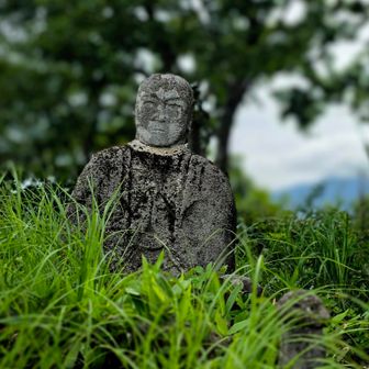 豪円山山頂🙌
周辺は藪漕ぎです🌿🌿