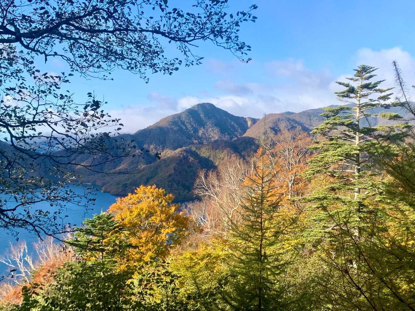 社山