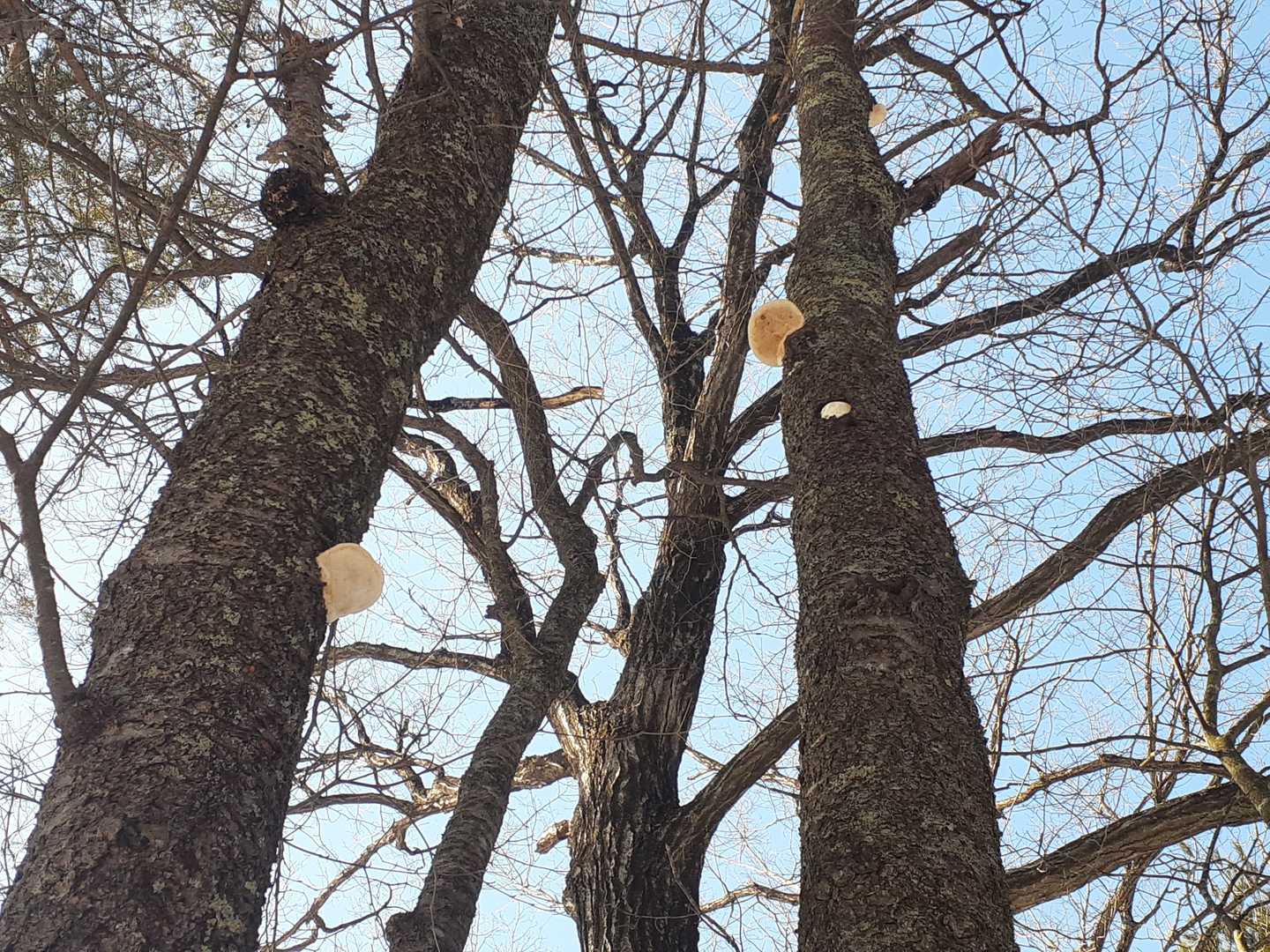 高いとこに腰掛け✌️
