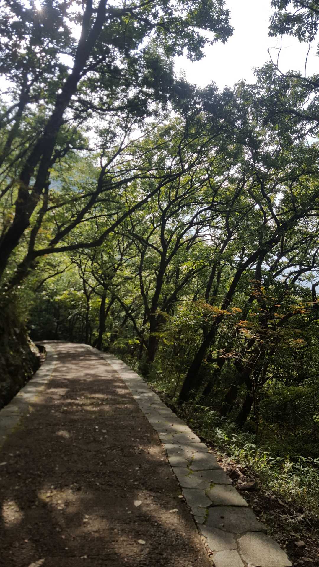 屋島南嶺-屋島北嶺 周回コースの写真