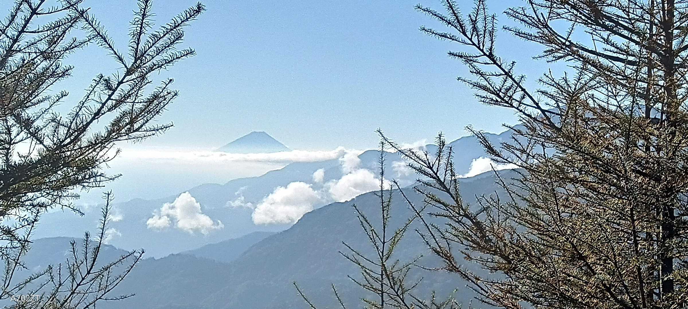 富士山