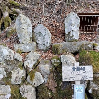 苔むした石仏群🙏
歴史を感じます✨
塩の道、秋葉街道で多くの人たちがここを往来した昔に想いを馳せる😊