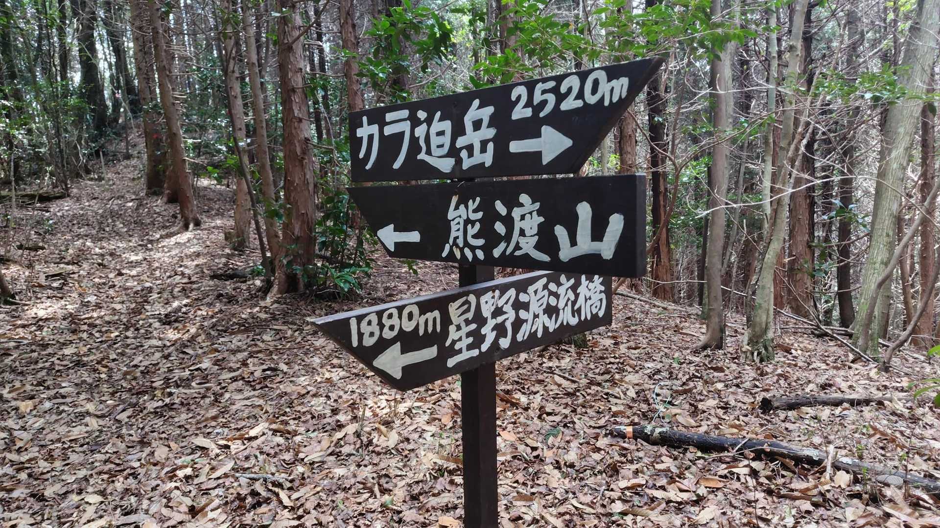 ここが分岐