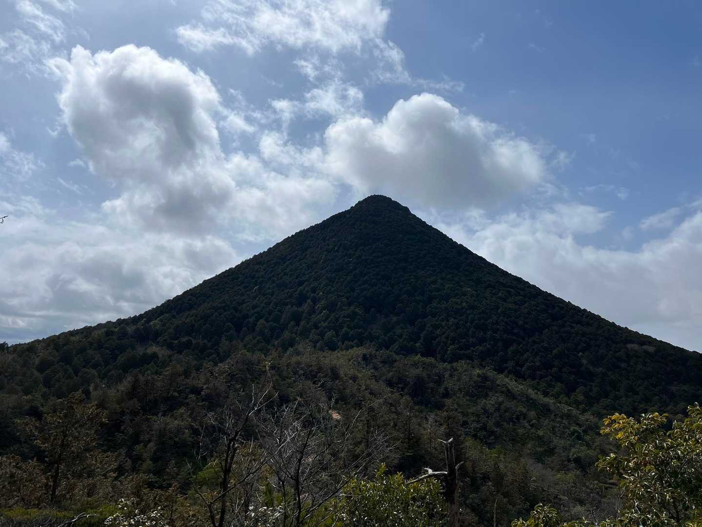 妙光寺山-田中山-森林センター前バス停 縦走コースの写真