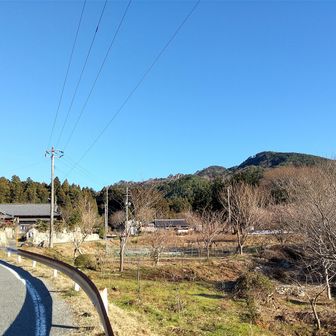 下山 見事な元旦晴れ